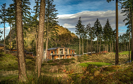 Cypress